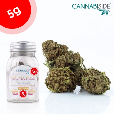 Aroma Kush Infiorescenza Top Senza Semi di Cannabis Legale 5g