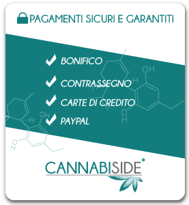 Pagamenti Sicuri con Cannabiside