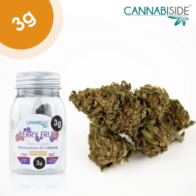 Berry Fruit Seedless Legal Cannabis (Hemp) Top Quality 3g
