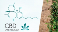 Cbd, Dosaggio e Posologia; Quanto Cbd devo assumere per ?