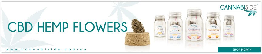 CBD Hemp Cannabis Flowers Cannabiside