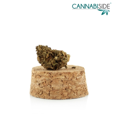 Dettaglio_Infiorescenza_di_Cannabis_Legale_1_g