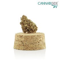 Papel_Infiorescenza_di_Cannabis_Legale_1_g