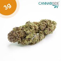Diesel Infiorescenza di Cannabis Sativa 3g Cannabiside