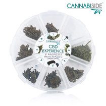CBD Experience - 8 Selezioni di Prodotti a base di Canapa Sativa