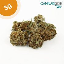 Big Bang Infiorescenza Top Senza Semi di Cannabis Legale 3g