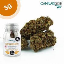 Fresh Lemon Infiorescenza Top Senza Semi di Cannabis Legale 3g
