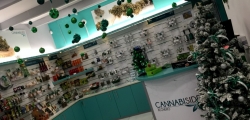 Fotografia Franchising Cannabis Affiliazione