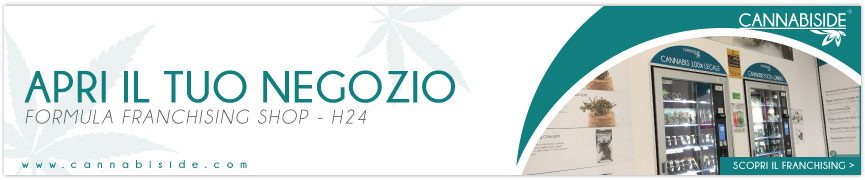 Franchising Cannabis Legale. Apri il tuo Shop - distributori automatici Cannabiside !