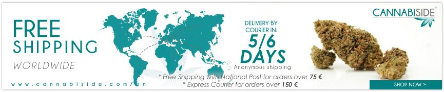 Free Cannabiside Shipping in worldwide for Orders Over 100€