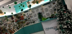 Affiliation of Cannabis Hemp Shop in Franchise from Italy