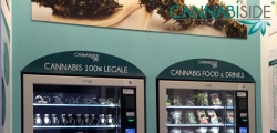 Hemp Vending Machine in Franchise