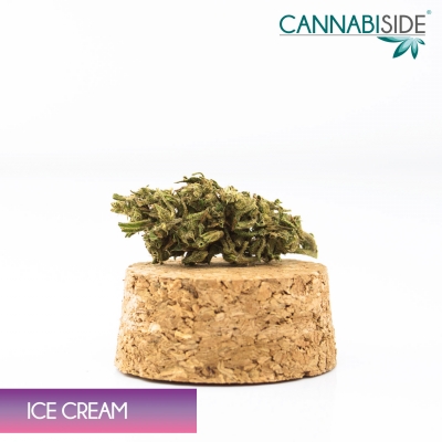 Ice Cream CBD Hemp Flowers Outdoor 1g