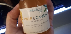 miele alla cannabis