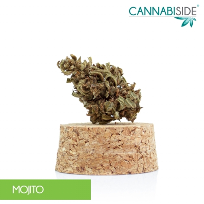 Mojito Infiorescenza di Cannabis Legale 1 g