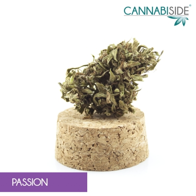 Passion CBD Hemp Flowers Outdoor 1g