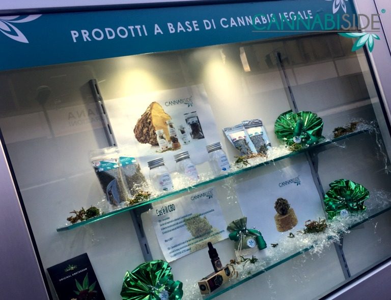 Shop Window in the Cannabis Shop Franchising Project Cannabiside