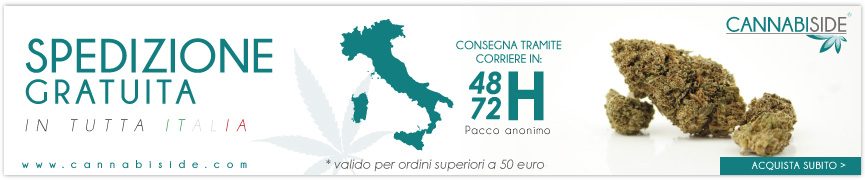 Approfitta della Spedizione Cannabiside! Gratuita in tutta Italia, con ordini superiori a €50