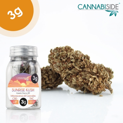 Sunrise Kush Infiorescenza di Cannabis Legale 3 g