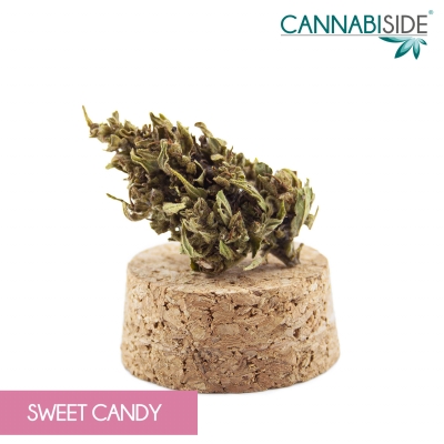 Sweet_Candy_Infiorescenza_di_Cannabis_Legale_1_g