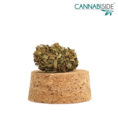 Viking_Infiorescenza_di_Cannabis_Legale_1_g